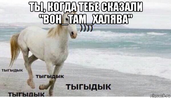 ты, когда тебе сказали "вон_там_халява" , Мем   Тыгыдык