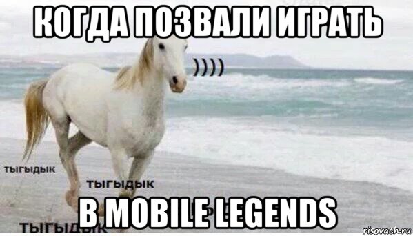 когда позвали играть в mobile legends, Мем   Тыгыдык