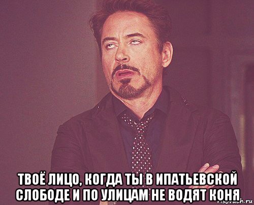  твоё лицо, когда ты в ипатьевской слободе и по улицам не водят коня, Мем твое выражение лица