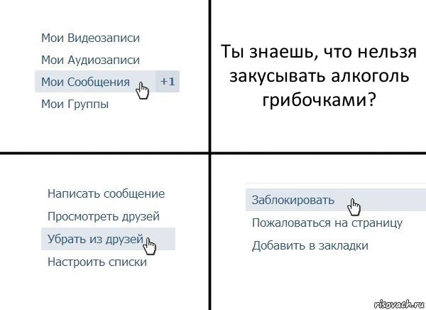 Ты знаешь, что нельзя закусывать алкоголь грибочками?, Комикс  Удалить из друзей