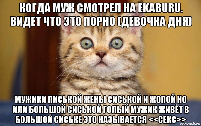 когда муж смотрел на ekaburu. видет что это порно (девочка дня) мужики писькой жены сиськой и жопой но или большой сиськой голый мужик живёт в большой сиське это называется <<секс>>, Мем  удивление