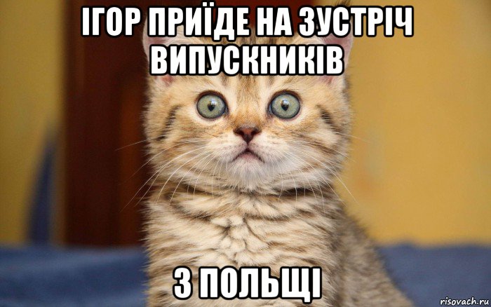 ігор приїде на зустріч випускників з польщі, Мем  удивление