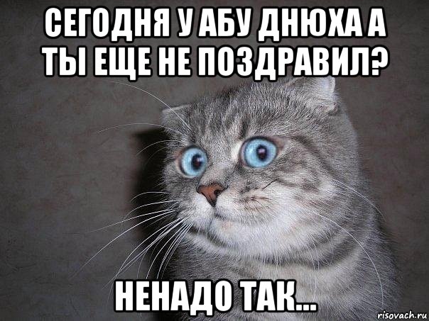 сегодня у абу днюха а ты еще не поздравил? ненадо так..., Мем  удивлённый кот