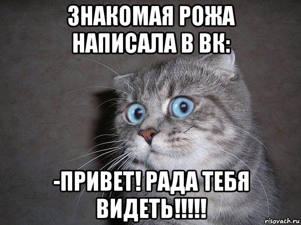 знакомая рожа написала в вк: -привет! рада тебя видеть!!!!!, Мем  удивлённый кот