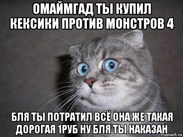 омаймгад ты купил кексики против монстров 4 бля ты потратил всё она же такая дорогая 1руб ну бля ты наказан, Мем  удивлённый кот