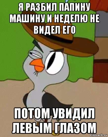 я разбил папину машину и неделю не видел его потом увидил левым глазом, Мем    Упоротая сова