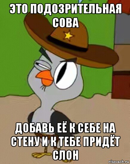 это подозрительная сова добавь её к себе на стену и к тебе придёт слон, Мем    Упоротая сова