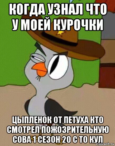 когда узнал что у моей курочки цыпленок от петуха кто смотрел пожозрительную сова 1 сезон 20 с то кул, Мем    Упоротая сова