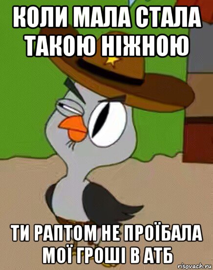 коли мала стала такою ніжною ти раптом не проїбала мої гроші в атб, Мем    Упоротая сова