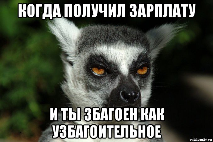 когда получил зарплату и ты збагоен как узбагоительное, Мем   Я збагоен