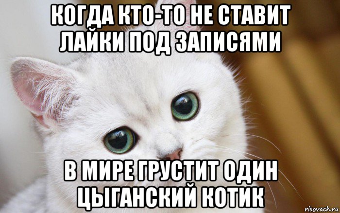 когда кто-то не ставит лайки под записями в мире грустит один цыганский котик, Мем  В мире грустит один котик