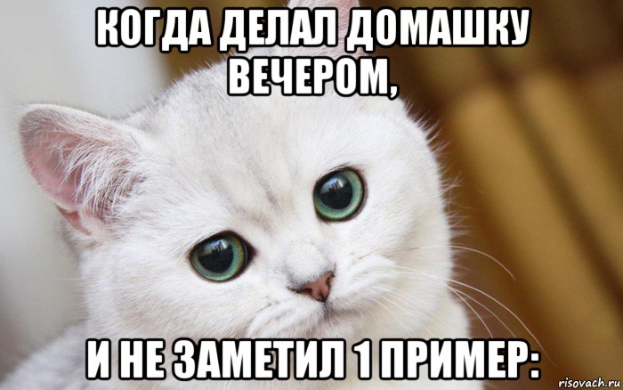 когда делал домашку вечером, и не заметил 1 пример:, Мем  В мире грустит один котик