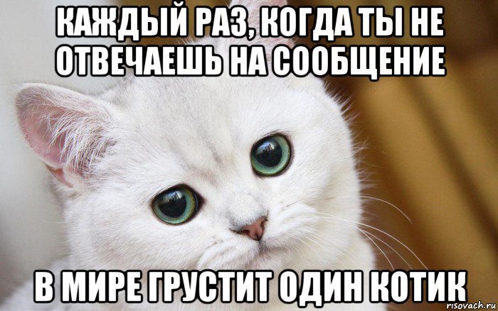 каждый раз, когда ты не отвечаешь на сообщение в мире грустит один котик, Мем  В мире грустит один котик