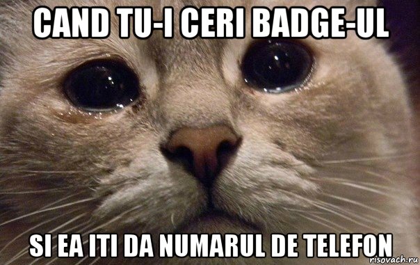 cand tu-i ceri badge-ul si ea iti da numarul de telefon, Мем   В мире грустит один котик