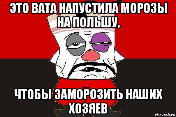 это вата напустила морозы на польшу, чтобы заморозить наших хозяев, Мем ватник