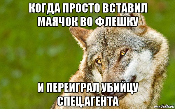 когда просто вставил маячок во флешку и переиграл убийцу спец.агента, Мем   Volf