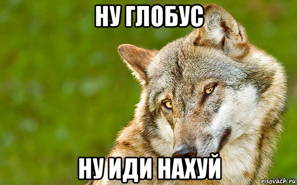 ну глобус ну иди нахуй, Мем   Volf