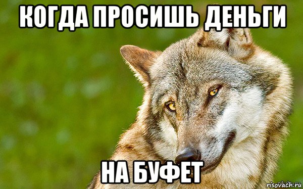 когда просишь деньги на буфет, Мем   Volf