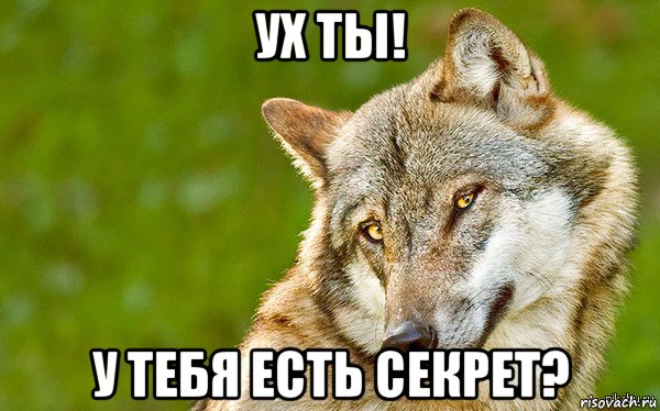 ух ты! у тебя есть секрет?, Мем   Volf