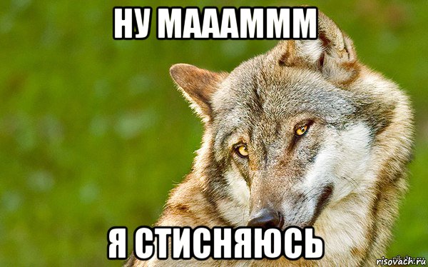 ну маааммм я стисняюсь, Мем   Volf