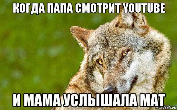 когда папа смотрит youtube и мама услышала мат, Мем   Volf