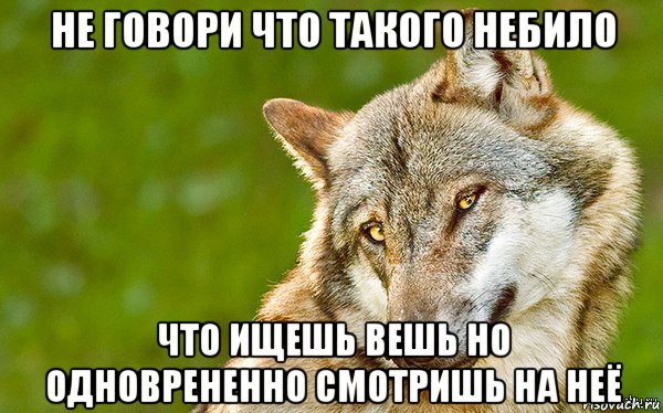 не говори что такого небило что ищешь вешь но одноврененно смотришь на неё, Мем   Volf