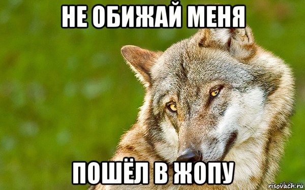 не обижай меня пошёл в жопу, Мем   Volf