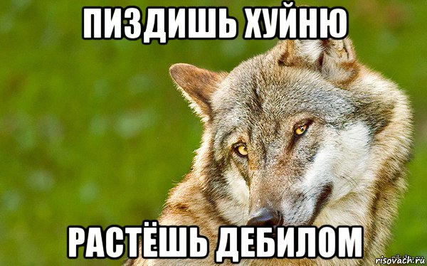 пиздишь хуйню растёшь дебилом, Мем   Volf