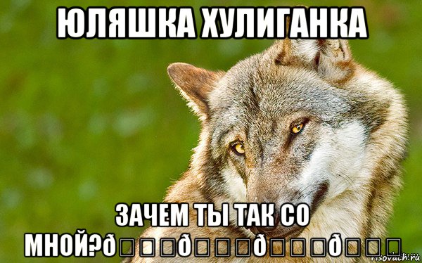 Мем   Volf