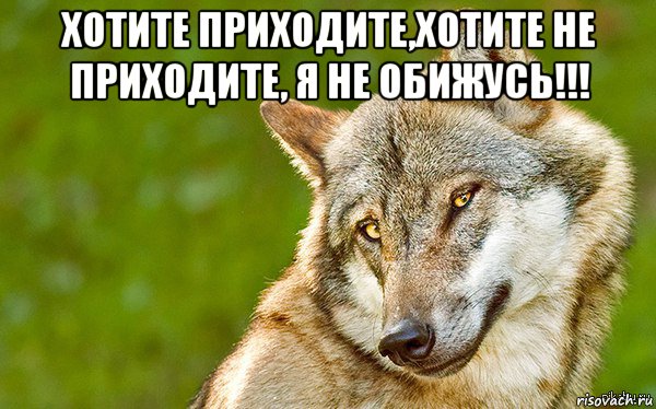 хотите приходите,хотите не приходите, я не обижусь!!! , Мем   Volf