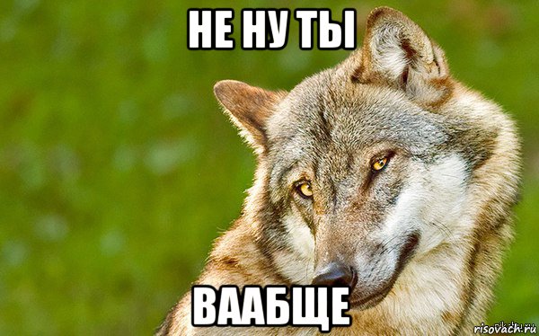 не ну ты ваабще, Мем   Volf