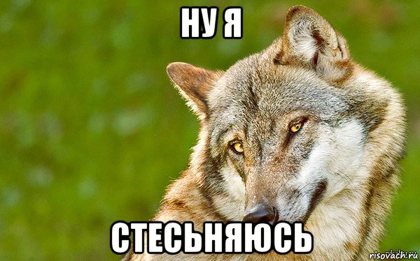 ну я стесьняюсь, Мем   Volf