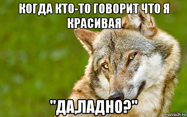 когда кто-то говорит что я красивая "да,ладно?", Мем   Volf