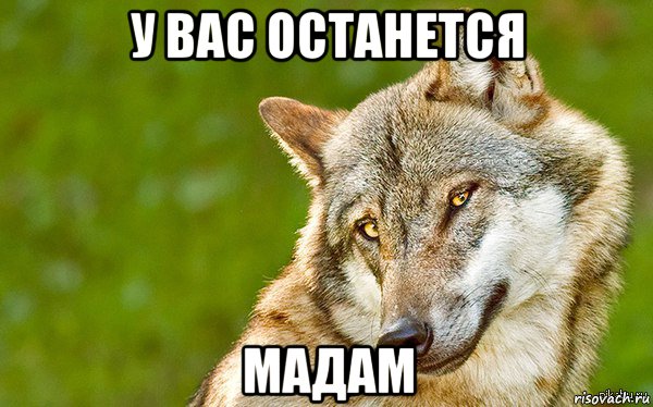 у вас останется мадам, Мем   Volf