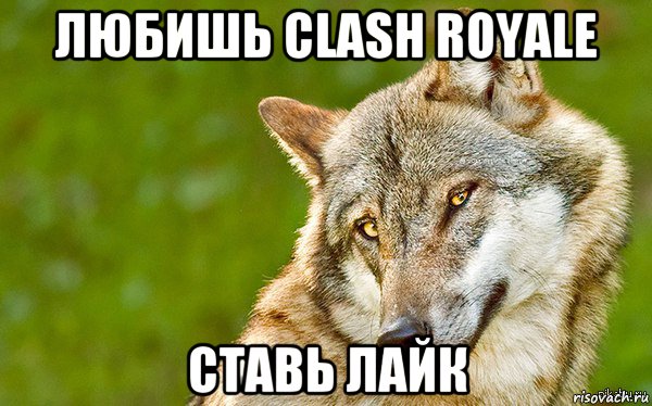 любишь clash royale ставь лайк, Мем   Volf