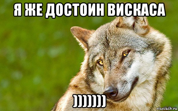 я же достоин вискаса ))))))), Мем   Volf