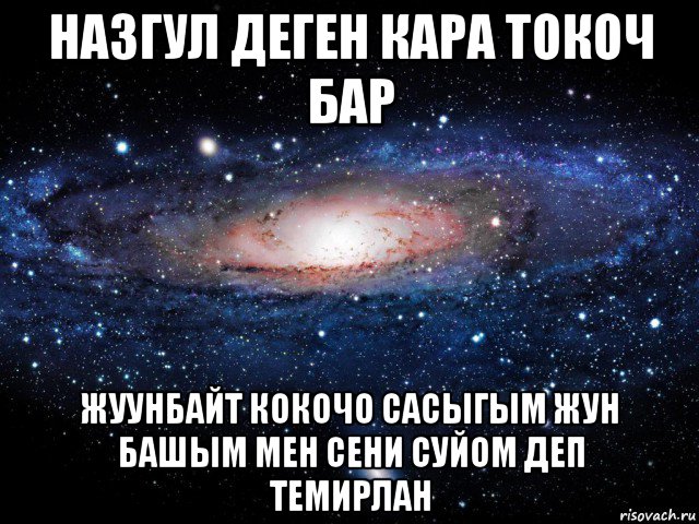 назгул деген кара токоч бар жуунбайт кокочо сасыгым жун башым мен сени суйом деп темирлан, Мем Вселенная