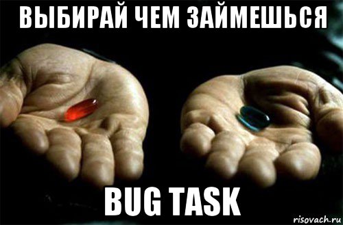 выбирай чем займешься bug task