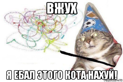 вжух я ебал этого кота нахуй!, Мем Вжух мем