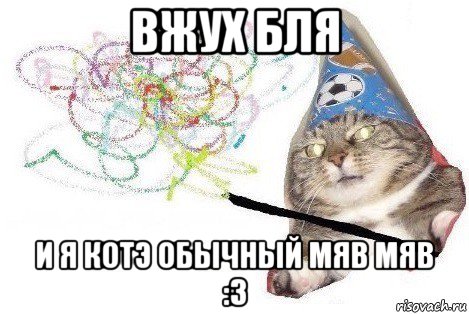 вжух бля и я котэ обычный мяв мяв :з, Мем Вжух мем