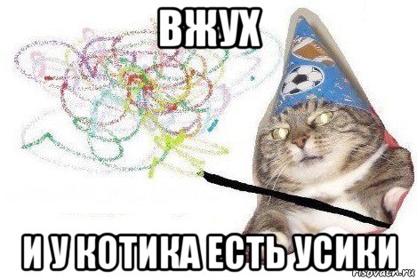 вжух и у котика есть усики, Мем Вжух мем