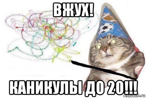 вжух! каникулы до 20!!!, Мем Вжух мем