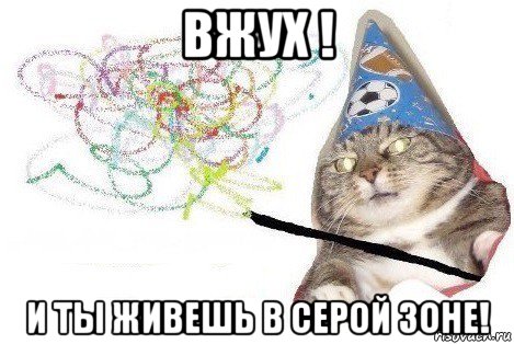 вжух ! и ты живешь в серой зоне!, Мем Вжух мем