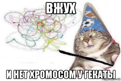 вжух и нет хромосом у гекаты, Мем Вжух мем