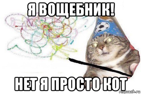 я вощебник! нет я просто кот, Мем Вжух мем