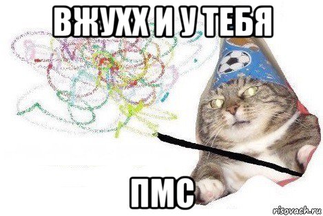 вжухх и у тебя пмс, Мем Вжух мем