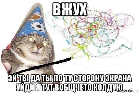 вжух эй ты да ты по ту сторону экрана уйди я тут вобщчето колдую, Мем Вжух