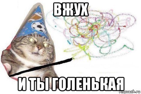 вжух и ты голенькая, Мем Вжух