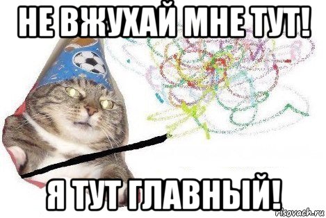 не вжухай мне тут! я тут главный!, Мем Вжух