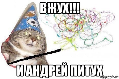 вжух!!! и андрей питух, Мем Вжух